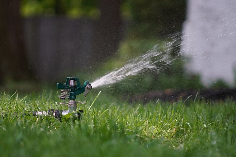 Build turf density with more than mowing