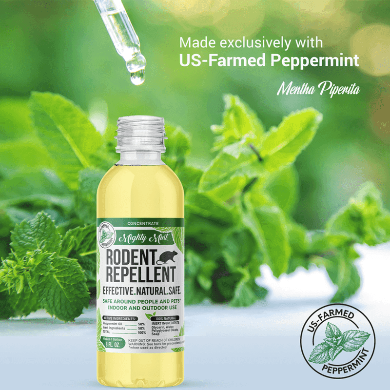 Peppermint Oil