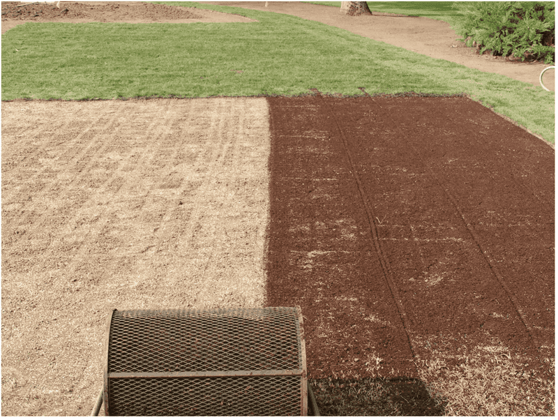 Incorporate Organic Matter