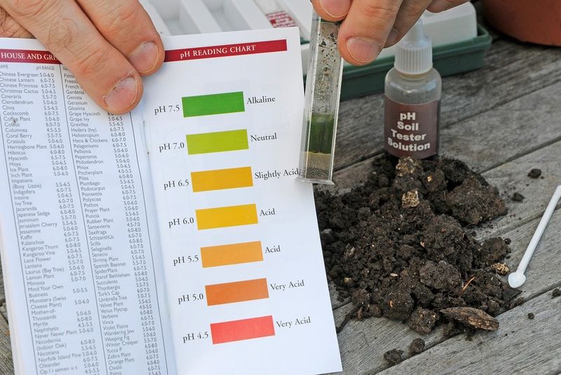 Maintain Slightly Alkaline Soil pH