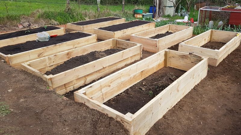 Give the next crop a straighter path underground