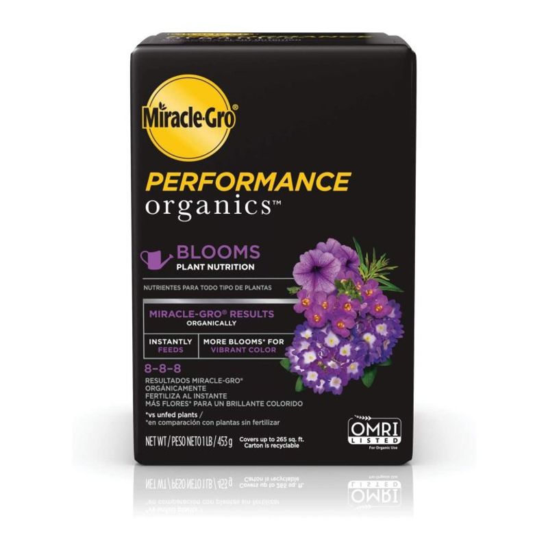 Feed With A High-Phosphorus Formula For Blooms