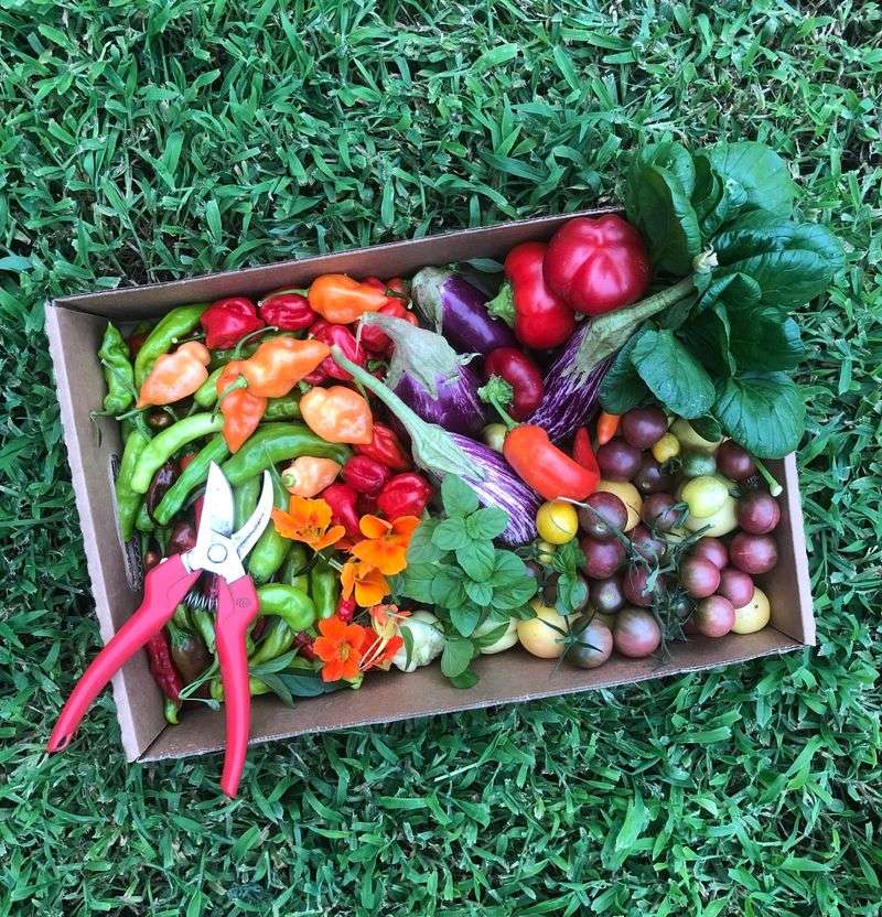 Use the September decision rule for your garden