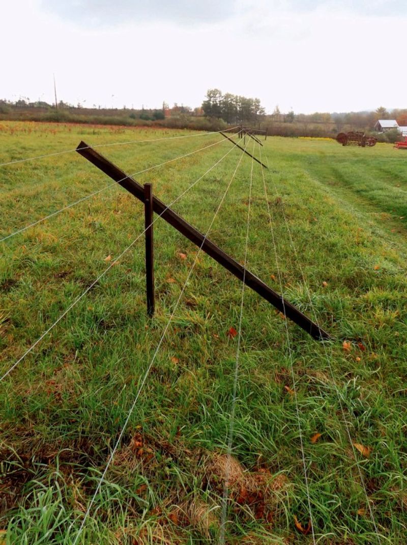 Create a Psychological Deer Fence
