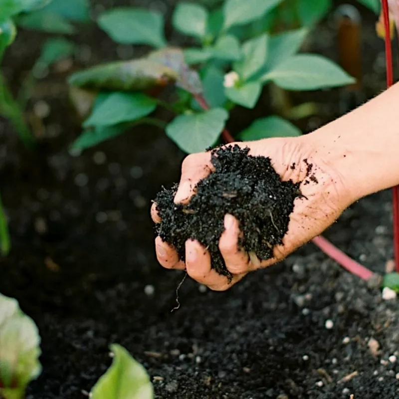 Adjust expectations for sand, clay, and compacted soil