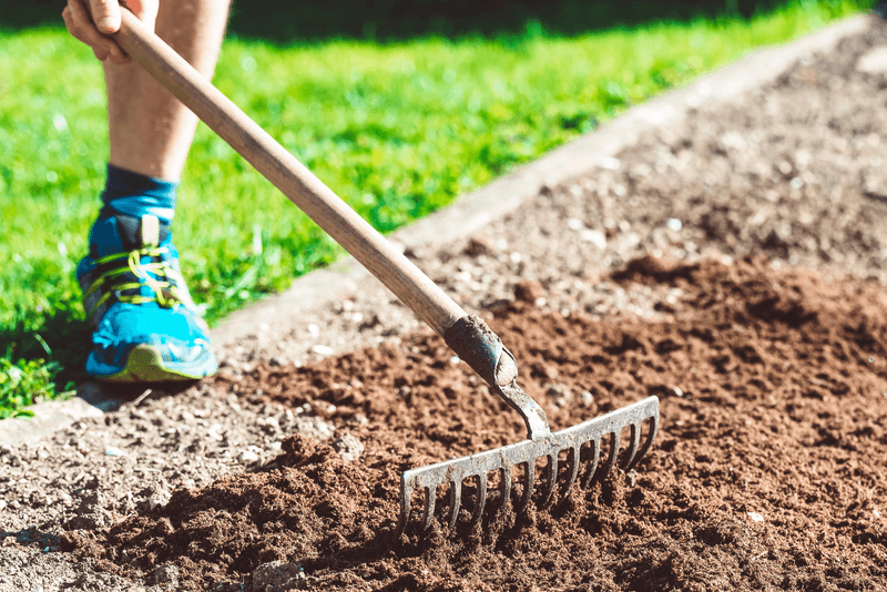 Use a hand rake to prepare a small patch for reseeding