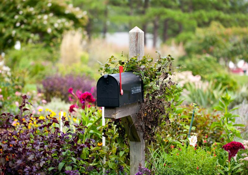 Make room for the mature shrub and protect access