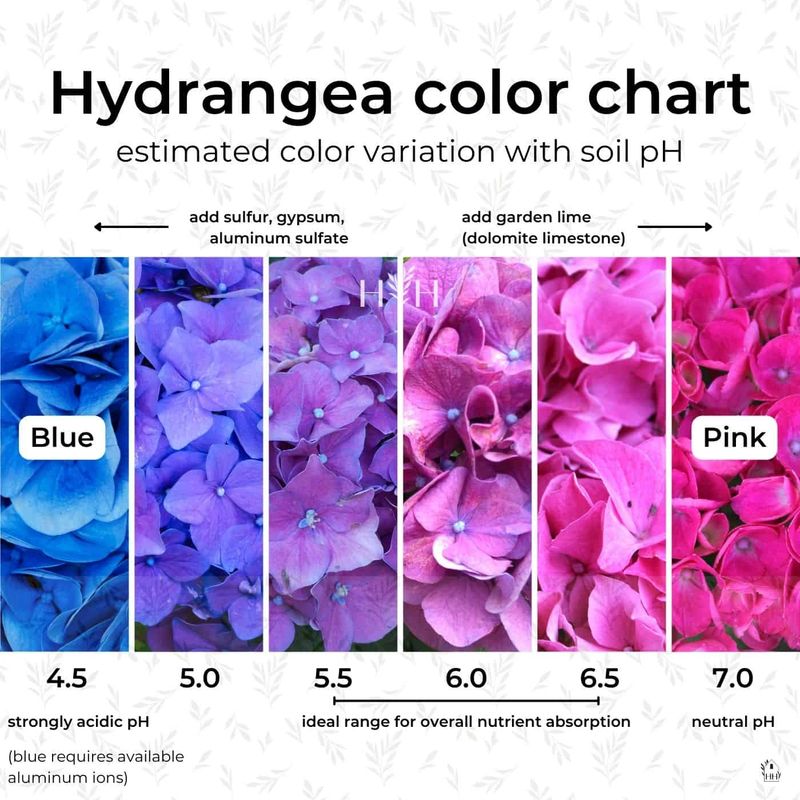 Test And Adjust Your Soil pH