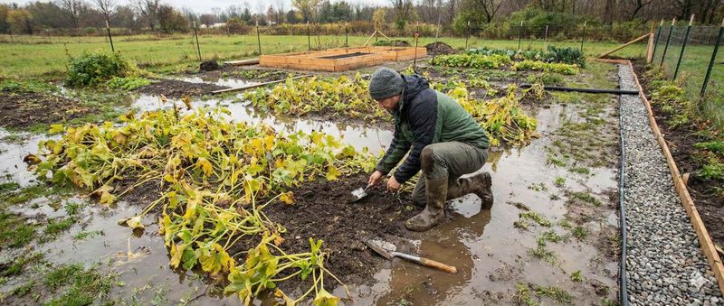 Waterlogged, Poorly Drained Beds