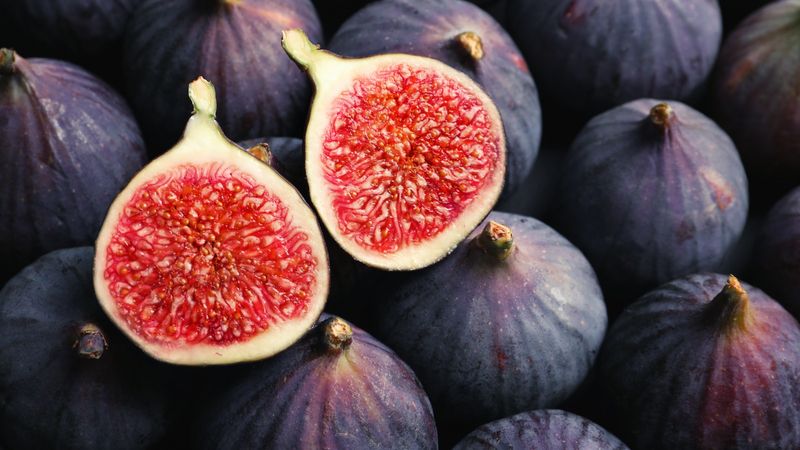 Figs