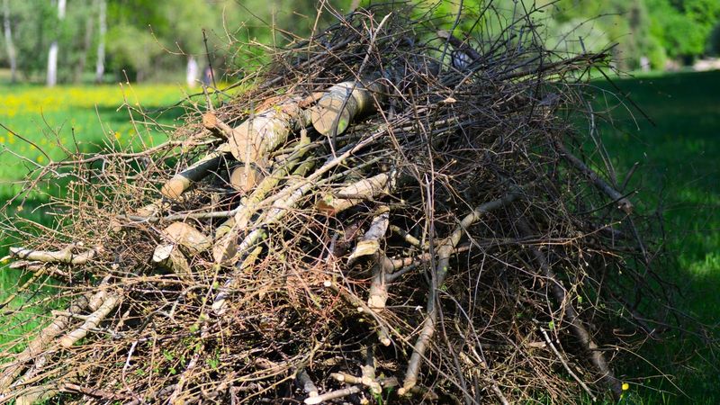 A useful refuge pairs sun with shelter