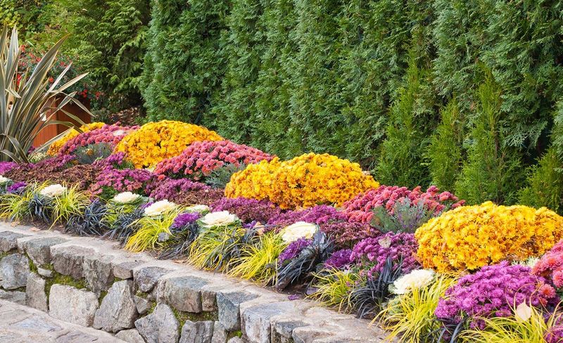 Choose a Sunny, Well-Drained Spot