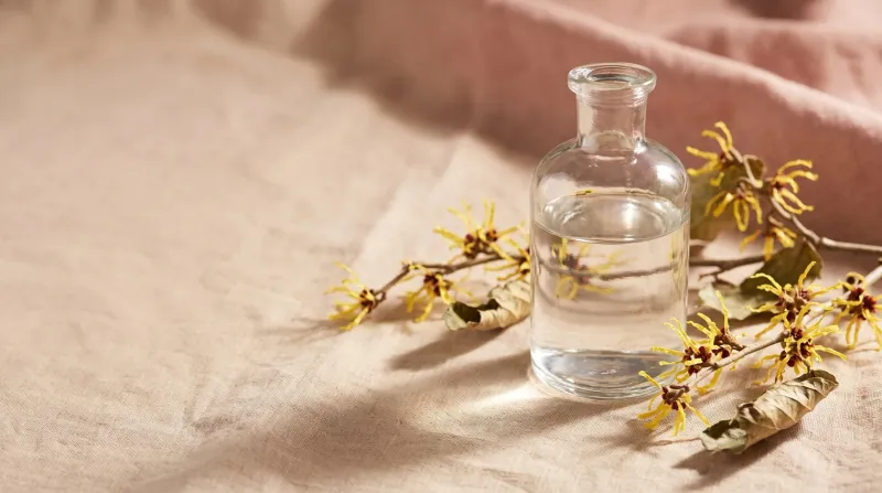 Witch hazel’s skin claims have limits