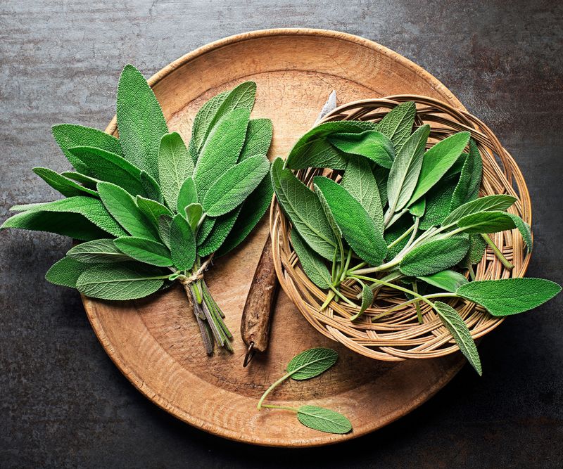 Damaging sage leaves releases more of their aroma