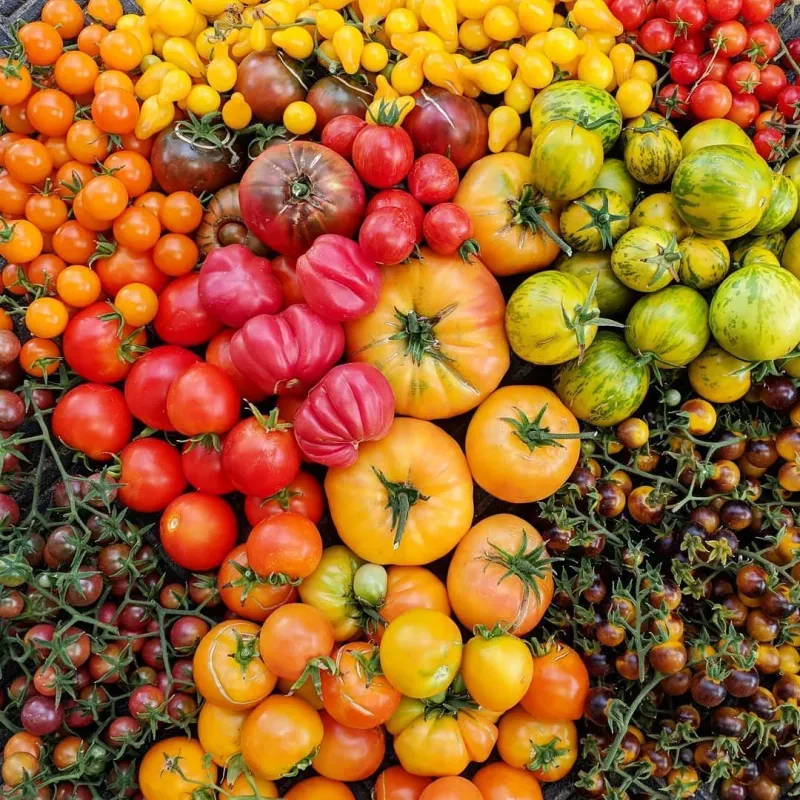 Choose varieties that tolerate your conditions