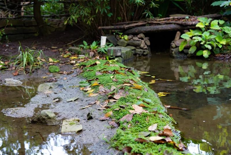 Moisture and cover reveal what changed underfoot
