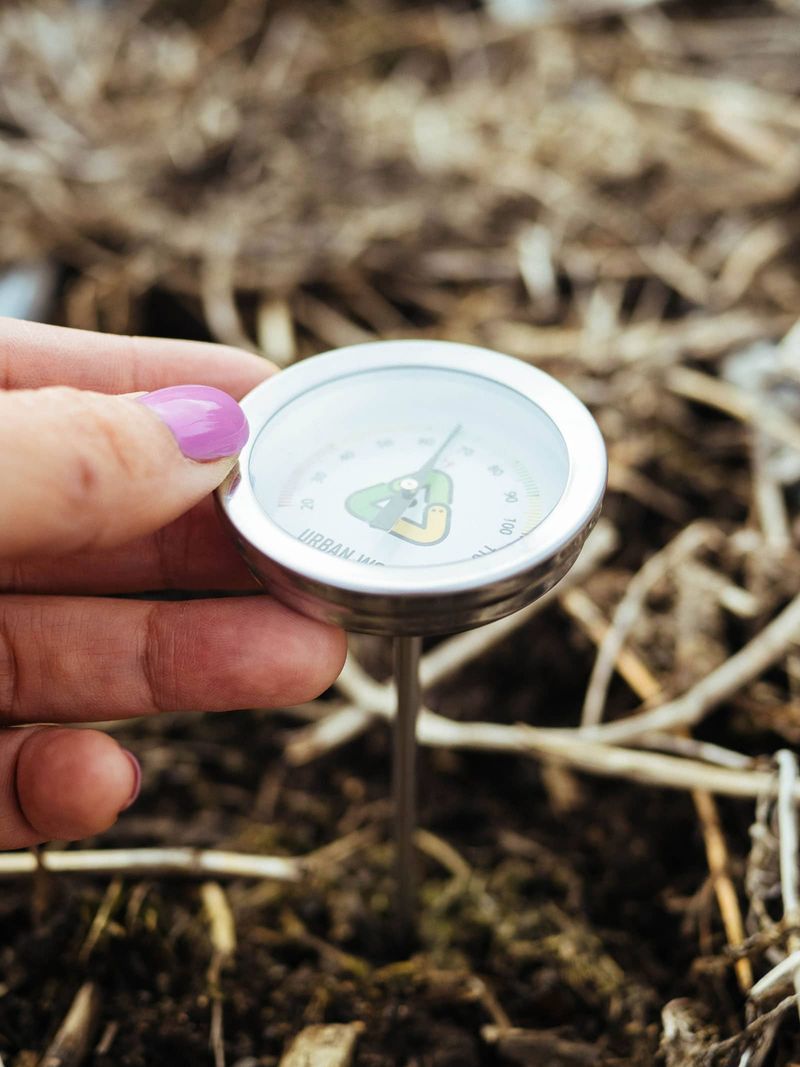 Why spinach may wait below the surface