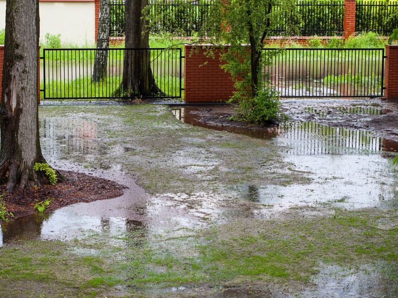 Find drainage problems in garden beds and containers