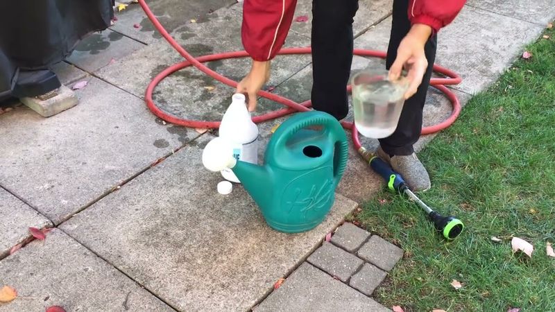 Ammonia Spray