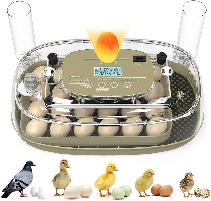 Which conditions must the incubator maintain?