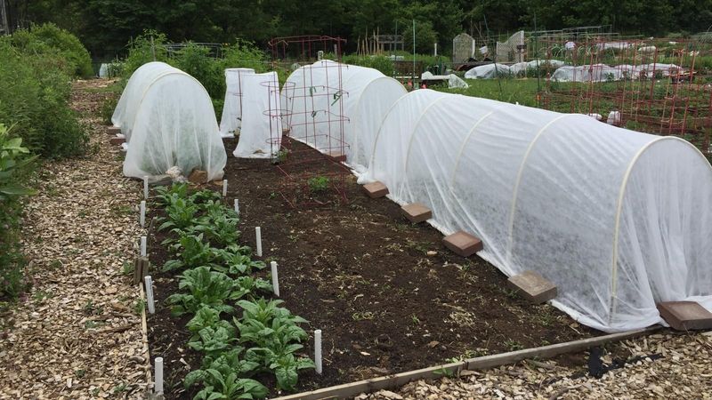 Have Frost Covers Ready Before You Need Them