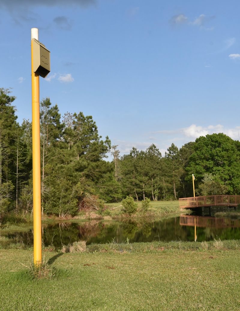 Balance Sunlight Against Overheating
