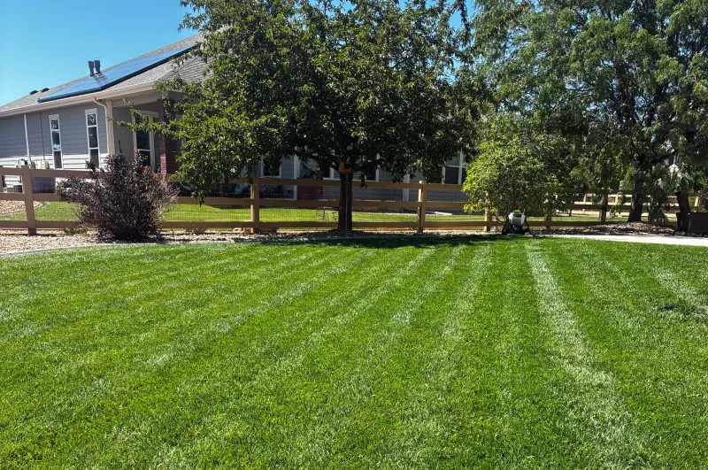 Feed Your Grass So It Fights Back