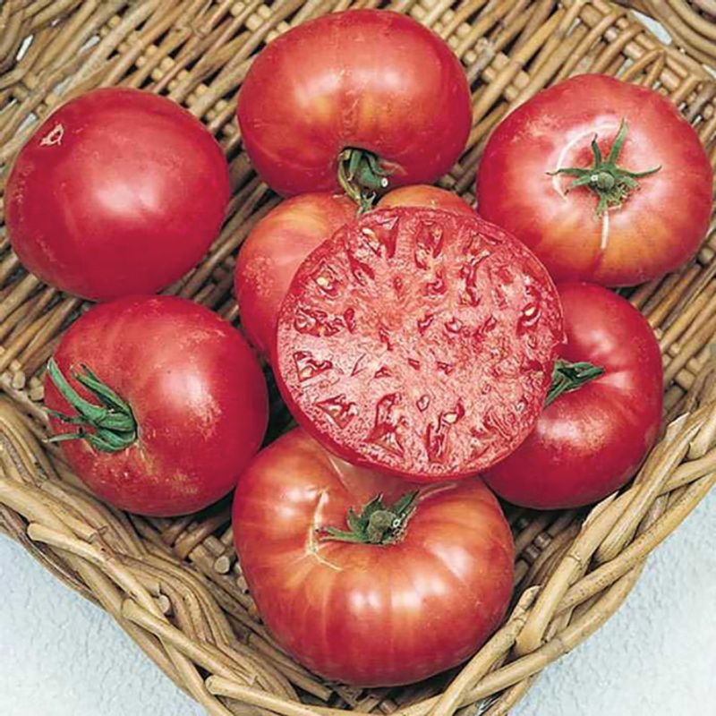 Mortgage Lifter (Heirloom)