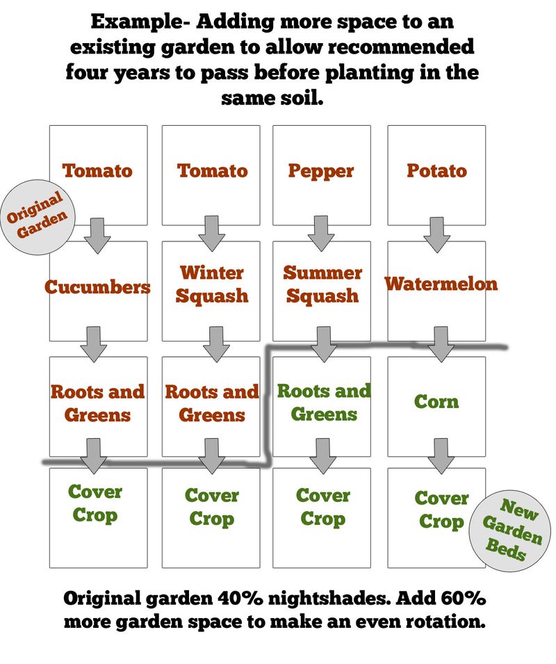Planting in the Same Bed Year After Year