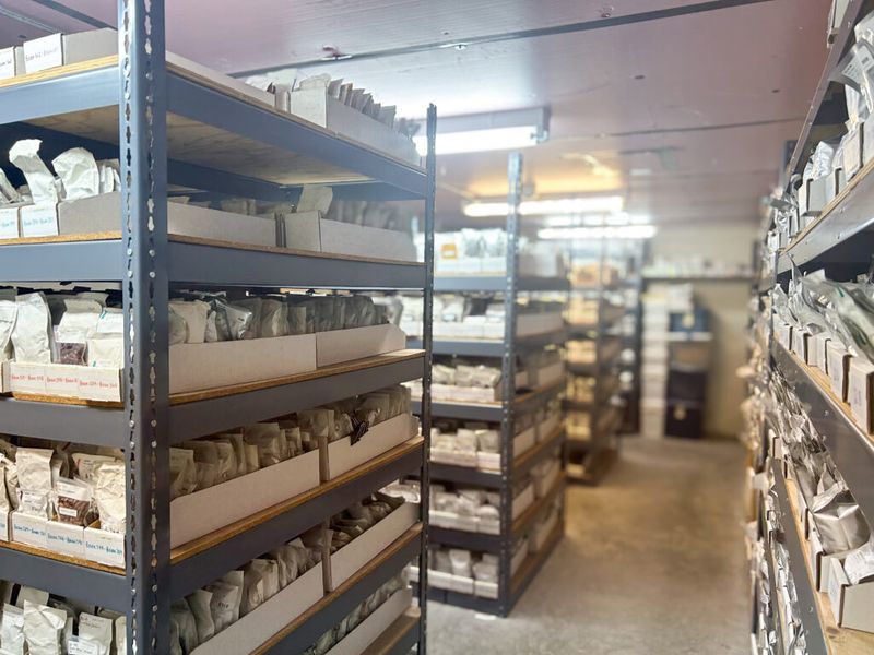 Store in a Cool, Dry, Dark Place