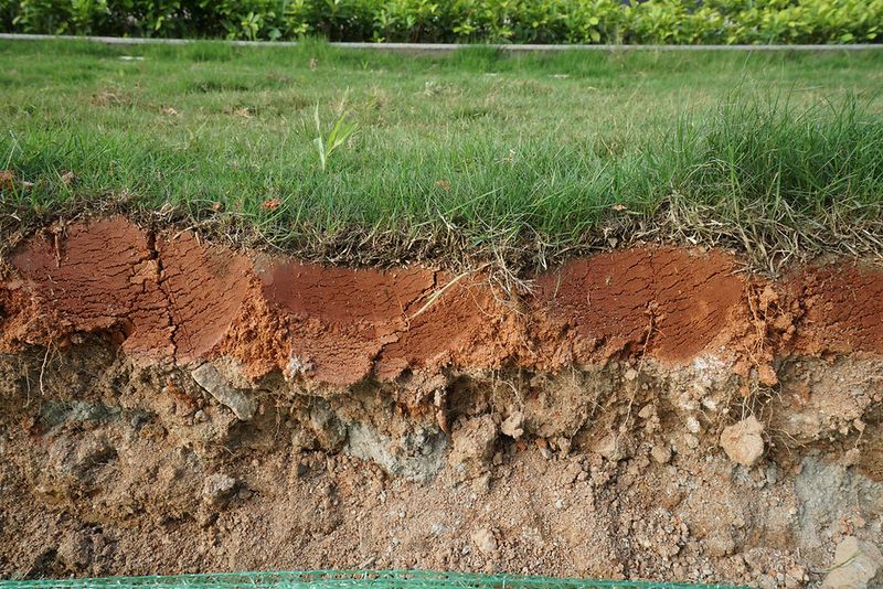 Avoid shortcuts that damage soil, turf, or drainage