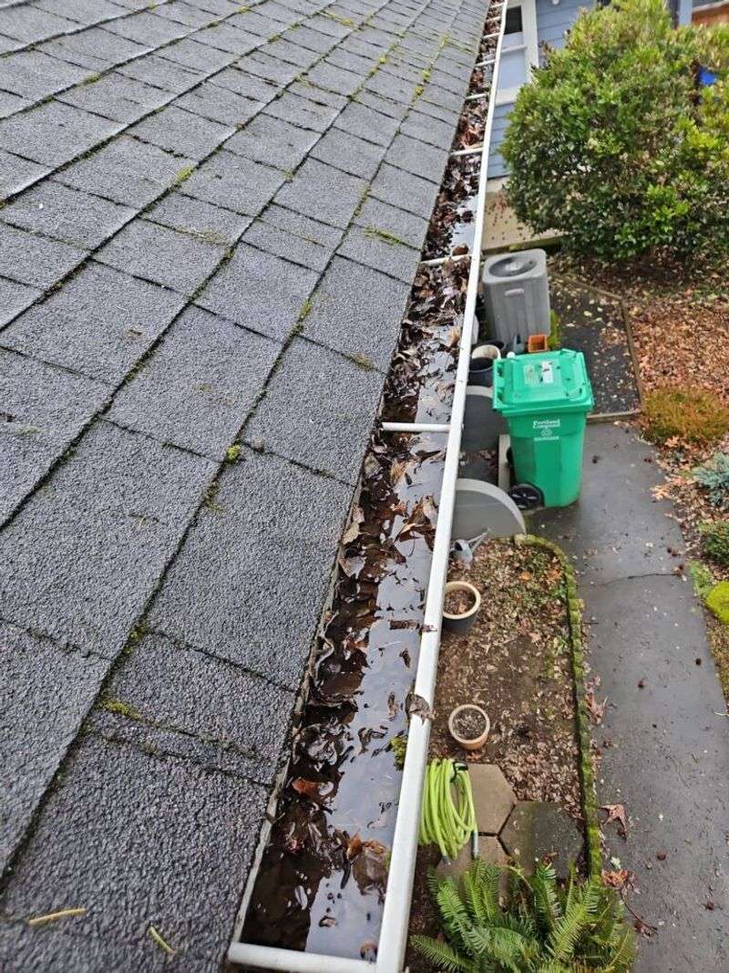 Clear gutters and clean water-holding containers
