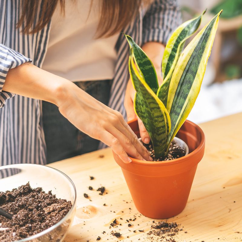 Refresh Depleted Soil