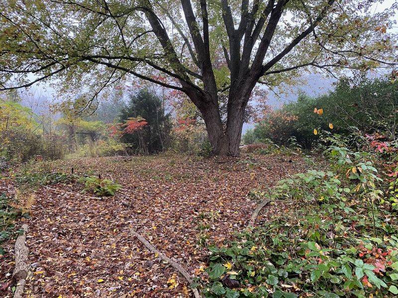 Recognize Ground Features Worth Leaving Undisturbed