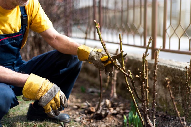 Save structural pruning for your local spring window