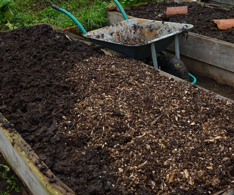 Amend Your Soil with Organic Matter