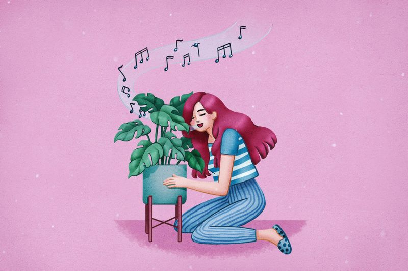 Useless: Playing Music to Your Tomato Plants