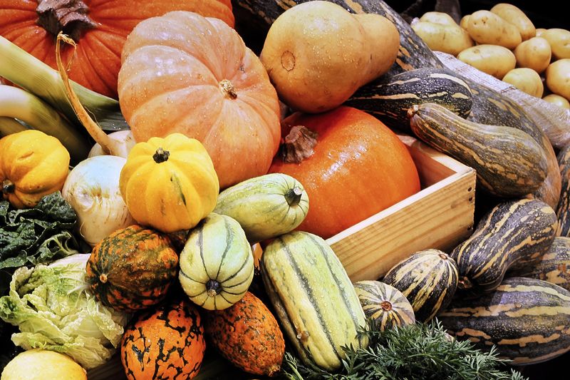 Piling Squash in a Heap With No Airflow