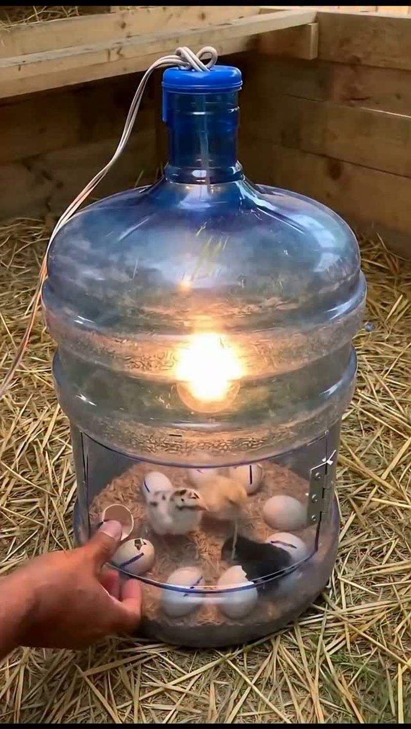 A water bottle alone is not a proven incubator