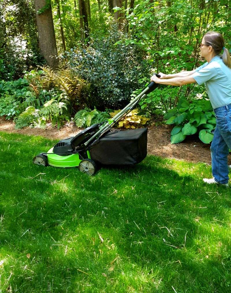 Set the mower for your grass, not a universal number
