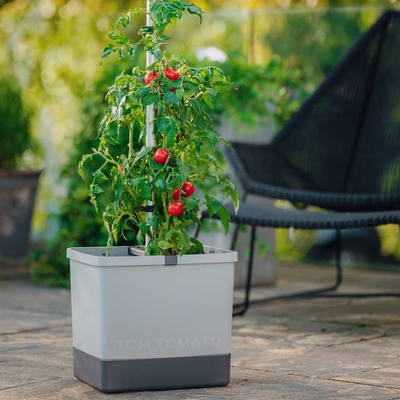 Consider Self-Watering Planters for Containers