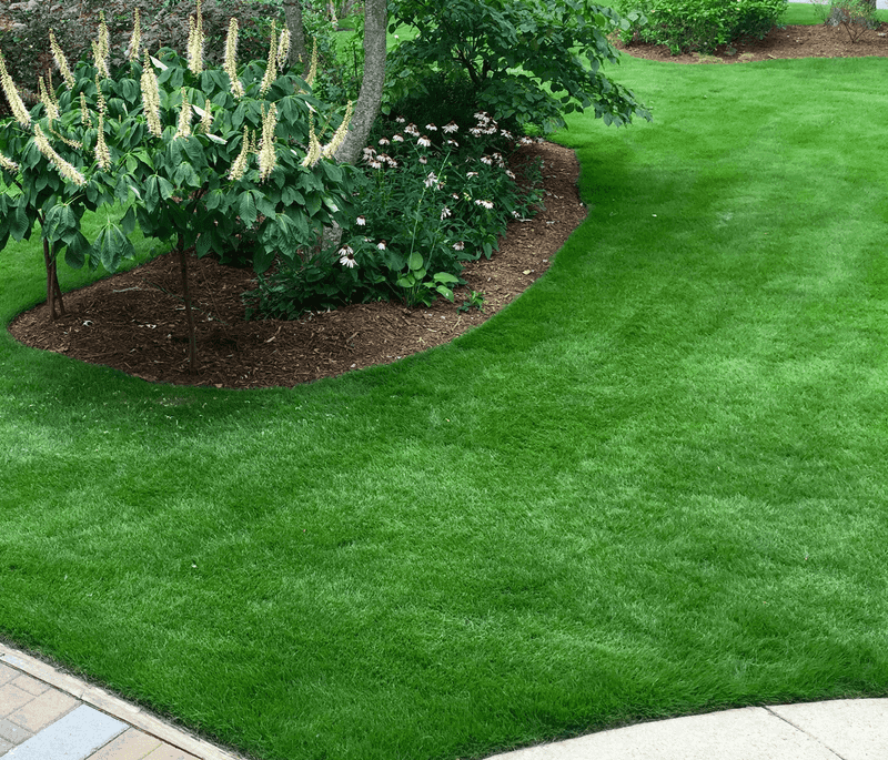 Sample several sections of turf