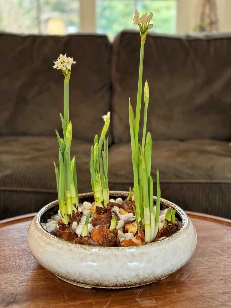 Know What to Expect After Flowering
