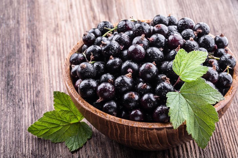 Blackcurrants