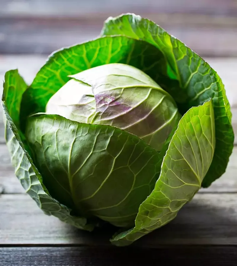 Cabbage