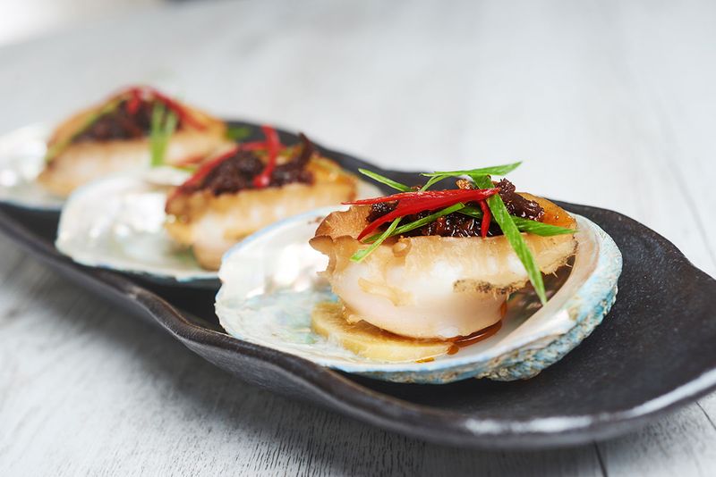 Abalone