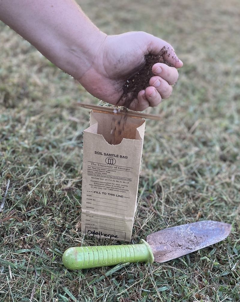 Let a soil test guide what you feed your rose