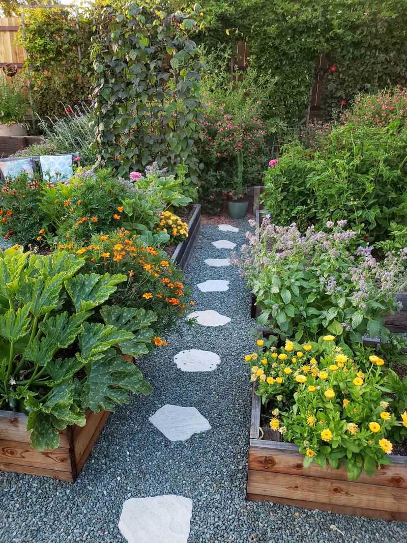 Treat companion planting as an experiment, not pest control