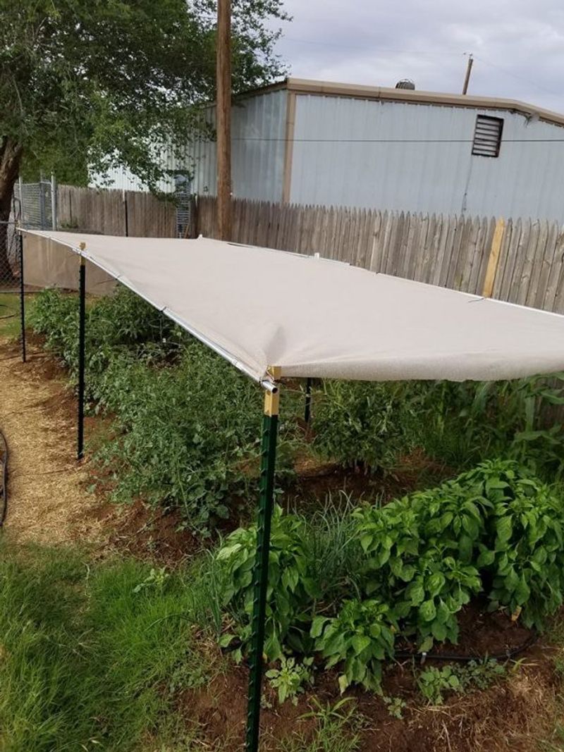 Provide shade during extreme heat