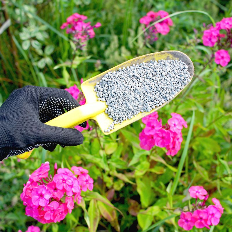Incorporate Slow-Release Fertilizer